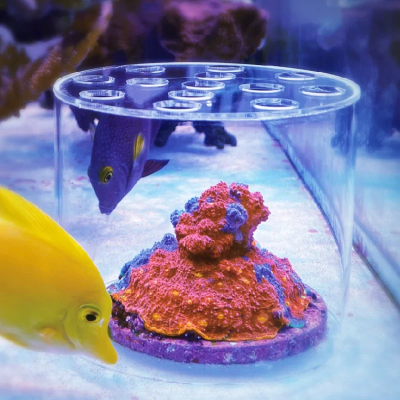 Reef Aquarium - Vastocean – hotte d'alimentation en corail