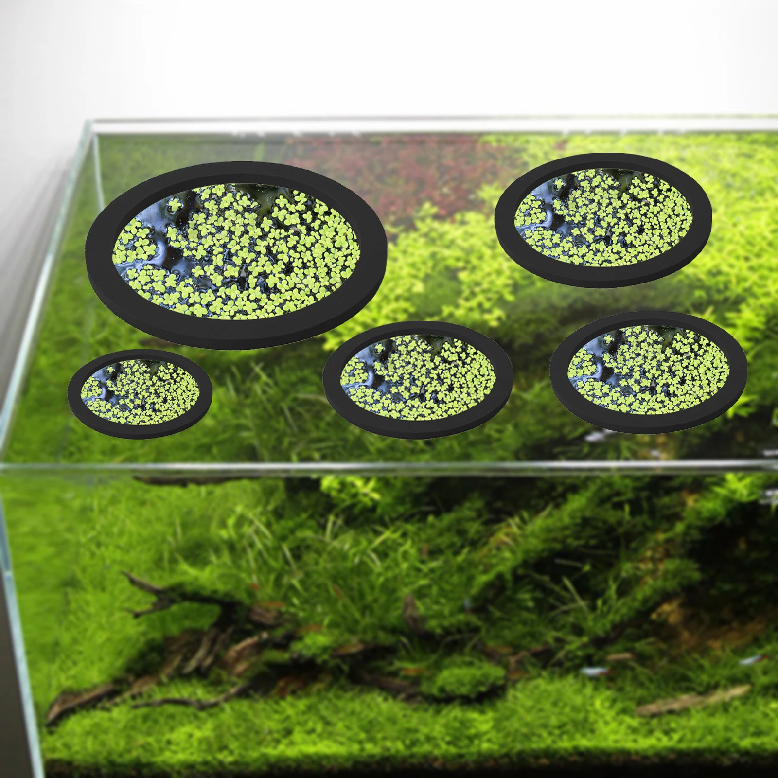 Anneaux d'Alimentation pour Aq - Ocean Aquarium avis et prix