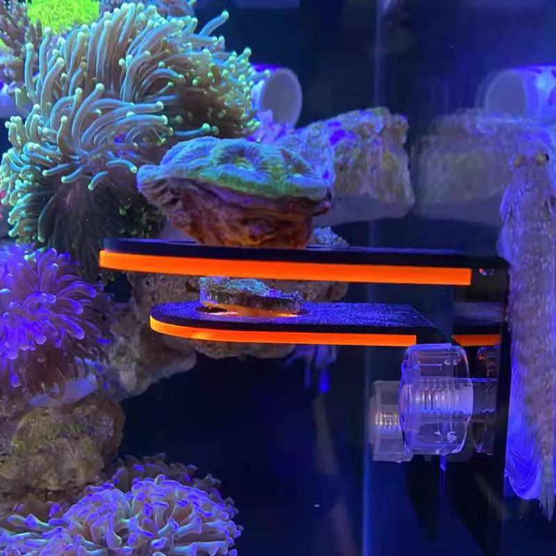 Support de culture de corail f - Marine Coral avis et prix