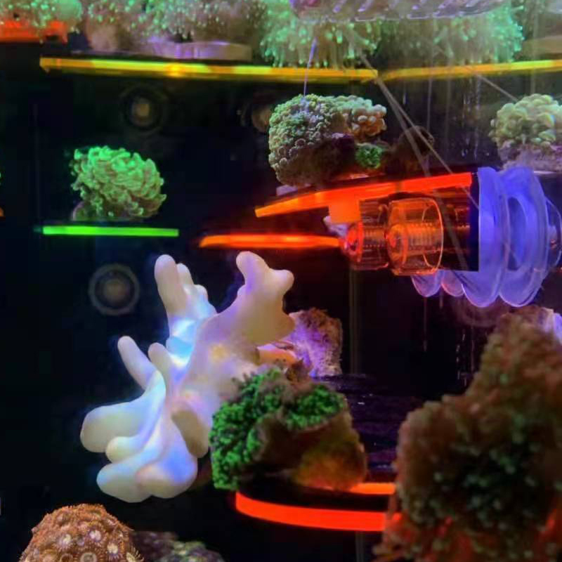 Support de culture de corail f - Marine Coral avis et prix