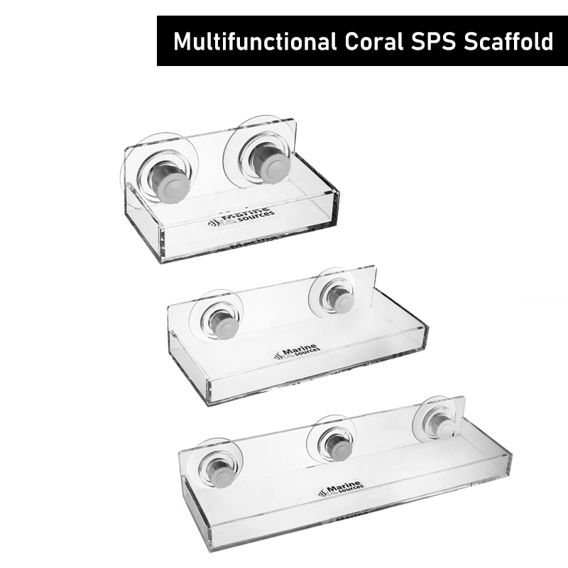Échafaudage multifonctionnel d - Marine Coral avis et prix