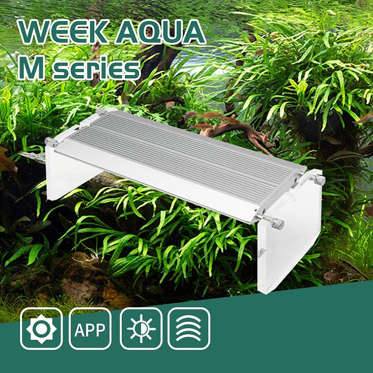 WEEK AQUA Lumière LED vive pou - Reef Lighting avis et prix
