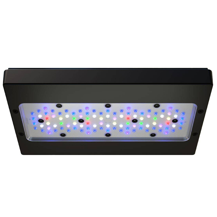 A8 PRO III Max et Blue 245W, l - Reef Lighting avis et prix