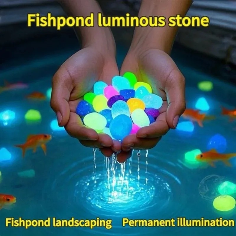 100-1000 pièces pierre lumineu - Marine Fish Tank avis et prix
